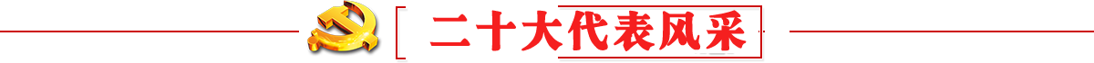二十大代表风采
